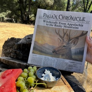 Past Issue #14: Midsummer 2025 – Pagan Chronicle