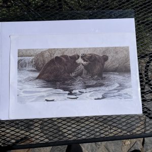 Bears by Tim Bowles