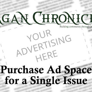 Single Issue Adspace
